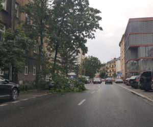 Ul. Szlak