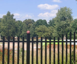 To jedno z najpiękniejszych miast na Śląsku. Czaruje jedynym takim pałacem myśliwskim w Polsce