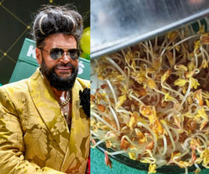 Rzeżuchy które wyglądają jak Krzysztof Rutkowski i jego legendarne fryzury