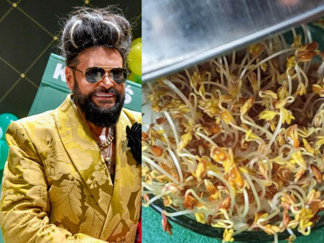 Rzeżuchy które wyglądają jak Krzysztof Rutkowski i jego legendarne fryzury