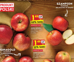 Giga promocje w Biedronce