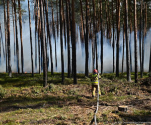 Strażacy z woj. świętokrzyskiego ruszają na ratunek! Wielka mobilizacja pożarnicza w Biłgoraju