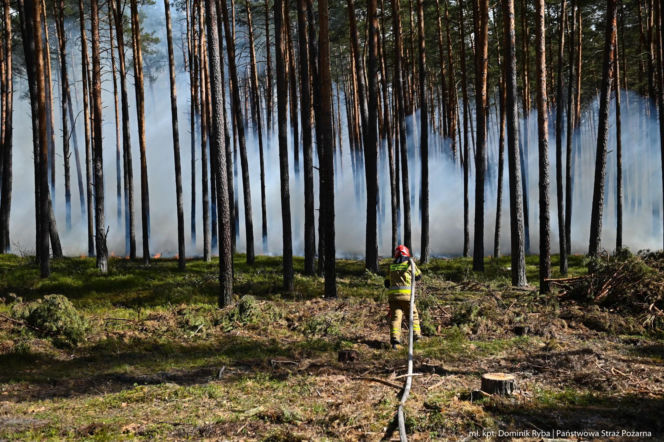 Strażacy z woj. świętokrzyskiego ruszają na ratunek! Wielka mobilizacja pożarnicza w Biłgoraju