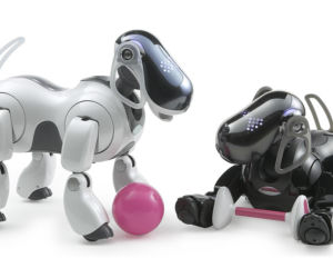 Roboty