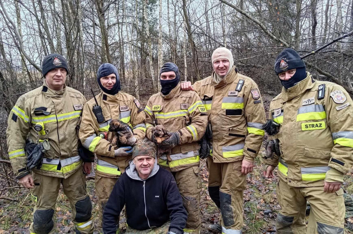 Lubelskie: Pieski utknęły w lisiej norze. Strażacy prosto z mszy ruszyli na pomoc 