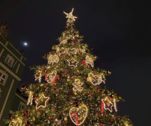 Choinka przed urzędem miasta w Szczecinie