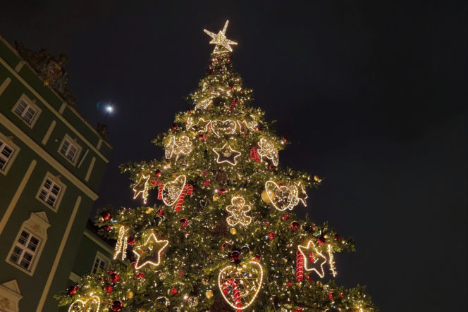 Choinka przed urzędem miasta w Szczecinie