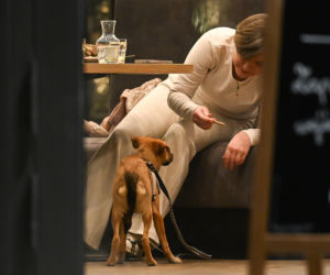 Monika Richardson z dzieckiem i pieskiem