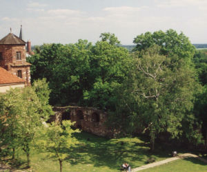 To jedno z najpiękniejszych śląskich miast. Jego ozdobą jest nie tylko rynek, ale też gotycki zamek