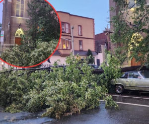 Najpierw upał, potem wichury! Na Greenpoincie drzewo runęło przy kościele św. Kostki
