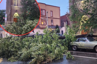 Najpierw upał, potem wichury! Na Greenpoincie drzewo runęło przy kościele św. Kostki