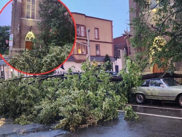 Najpierw upał, potem wichury! Na Greenpoincie drzewo runęło przy kościele św. Kostki