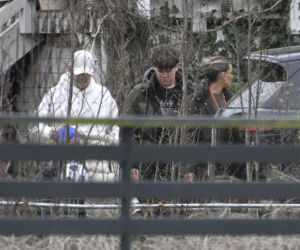 Prawdziwe paparazzi Rozenków nad morzem