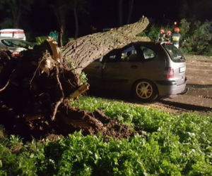 Pierwsze szkody