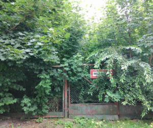 Dziesięć najbardziej wstydliwych miejsc Tarnowa. Niektóre straszą od wielu lat [CAŁA GALERIA]