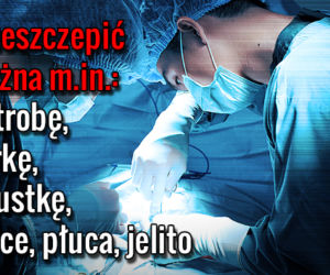 TRANSPLANTACJA_04 Przeszczepić można m.in wątrobę, nerkę, trzustkę, serce, płuca, jelito