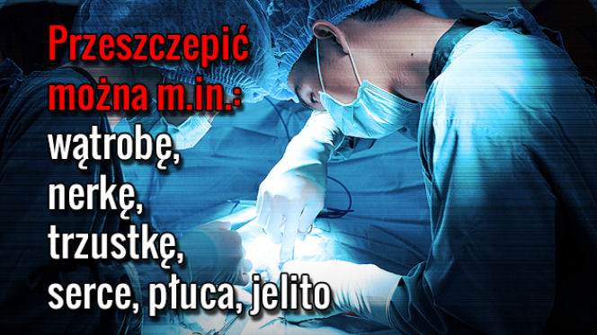TRANSPLANTACJA_04 Przeszczepić można m.in wątrobę, nerkę, trzustkę, serce, płuca, jelito