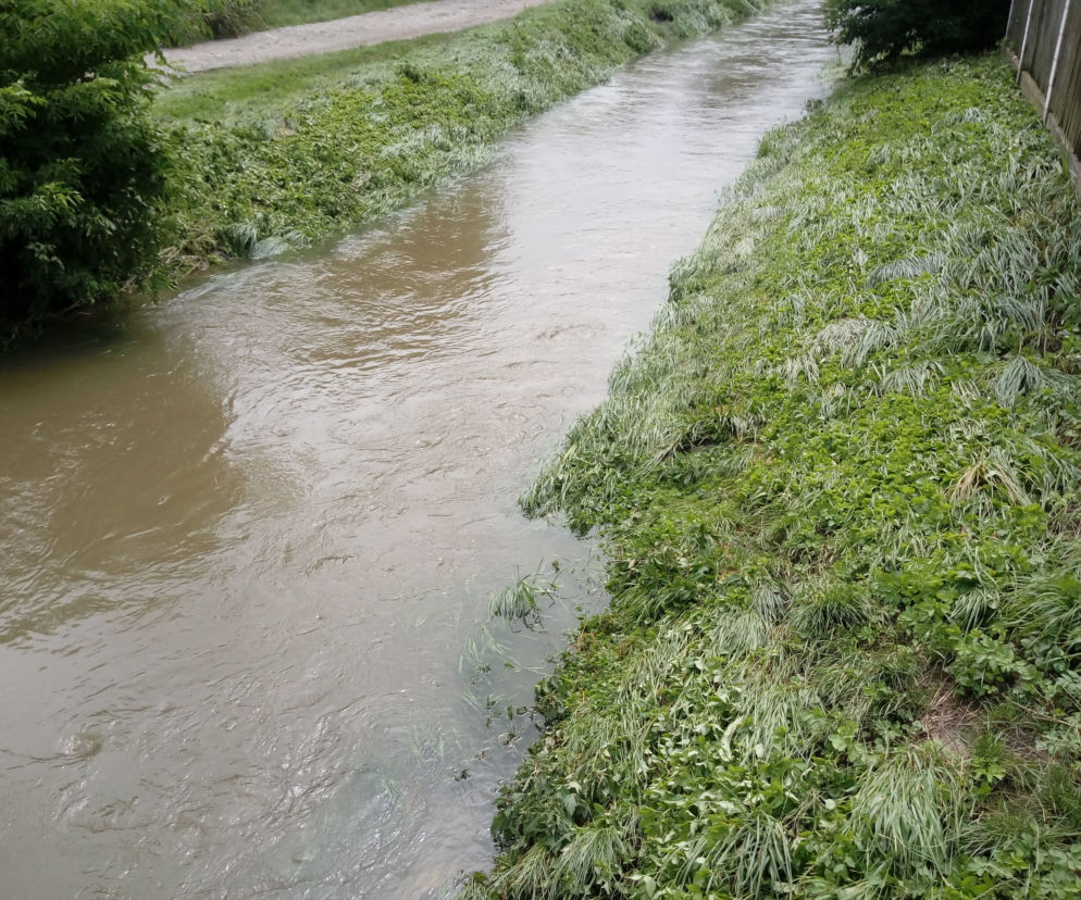 mleczna