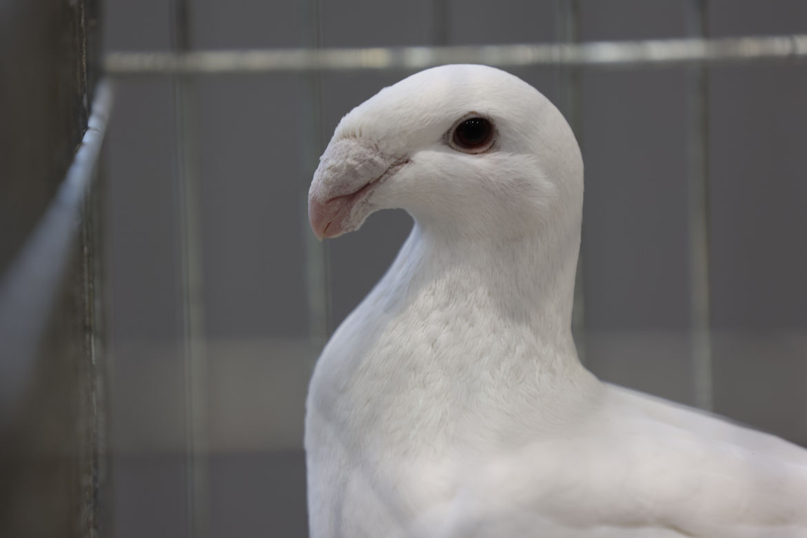 ZooPark 2023 w Lublinie przyciągnął tłumy!