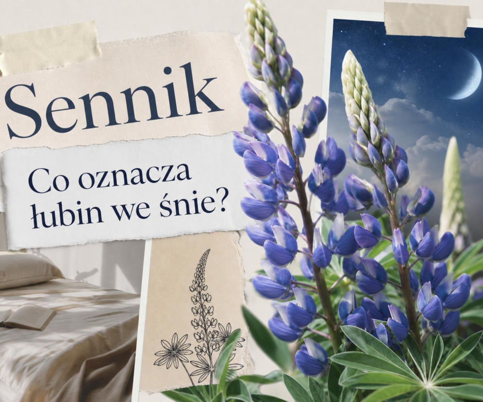 Kwitnący fioletowy łubin na tle kolażu. Obok miniatury łóżka i nocnego nieba. O znaczeniu snu przeczytasz na SE.
