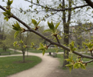 Pogoda na weekend w Olsztynie 17-19 kwietnia. Nadchodzi wyraźne ocieplenie