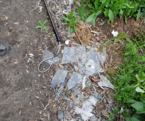 Makabra pod Płockiem! Z głodu zjadały same siebie, spały w dywanie z odchodów [ZDJĘCIA]