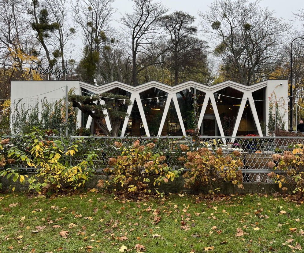 Zrewitalizowany modernistyczny pawilon Meduza w Sopocie z zygzakowatym dachem, białymi ścianami porośniętymi bluszczem i metalowymi barierkami. Otacza go jesienny park z drzewami i suchymi liśćmi, a na szyldzie widnieje nazwa lokalu. O architekturze budynku można przeczytać na Architektura Murator Plus.