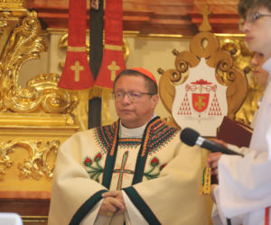 Wiosenny redyk w Ludźmierzu