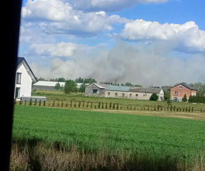 Pożar w powiecie wołomińskim