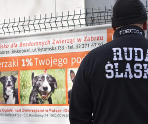 Dziewczyny z Torcida Girls zorganizowały zbiórkę na schronisko dla zwierząt. Zachęcaja wszystkich do pomocy [ZDJĘCIA]