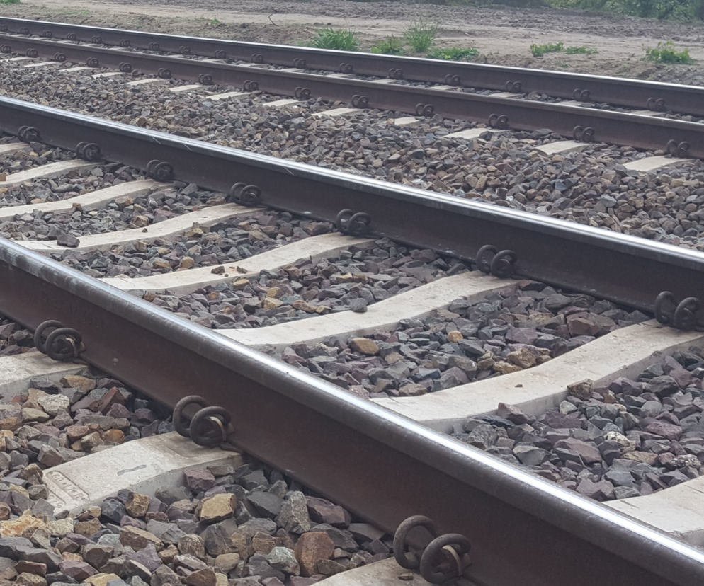 Dolnośląskie. Powróci linia kolejowa Zgorzelec - Bogatynia 