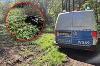 Uciekał przed policją i schował się tam, gdzie nikt się nie spodziewał. Miał powody