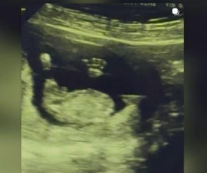 Aleksandra Grysz, Tomasz Tylicki