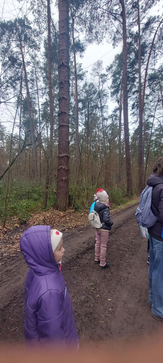 26. Rajd Mikołajkowy