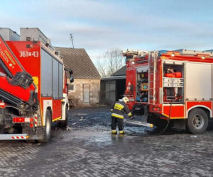 Chciał się wydostać, ale zakopywał się coraz głębiej! Tragiczna śmierć w silosie zbożowym pod Płockiem