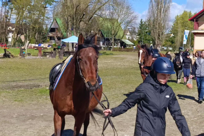 Konna święconka w Szczecinie