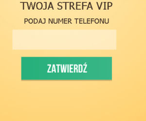 egzamin gimnazjalny oszuści