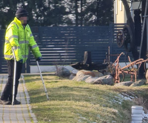 Miał porąbać drewno, ukradł mi rentę