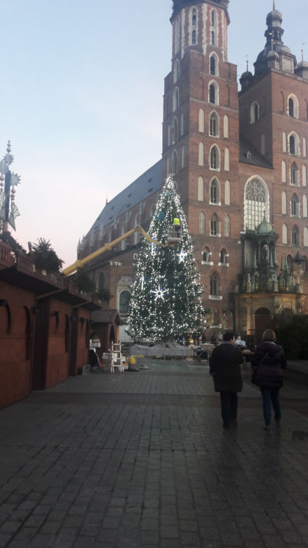Na krakowskim Rynku pojawiła się już choinka! [GALERIA ZDJĘĆ]