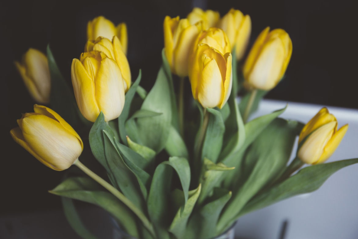 Żółte kwiaty źle się kojarzą