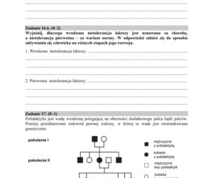 Matura 2020 ARKUSZE CKE z biologii POZIOM ROZSZERZONY 