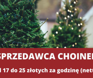 Świąteczne zawody 2021. Ile może zarobić Mikołaj, Śnieżynka i sprzedawca karpi? [STAWKI ZA GODZINĘ]