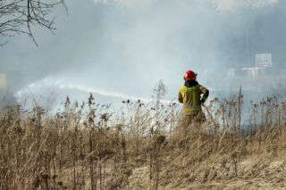 Mazowsze płonie, zaczęło się wypalanie traw