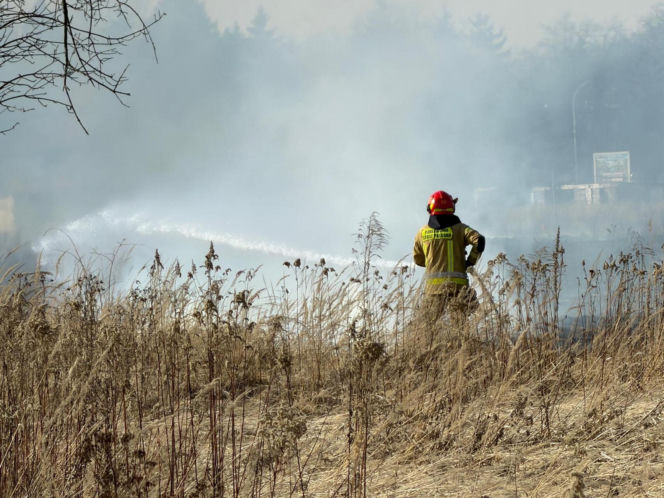 Mazowsze płonie, zaczęło się wypalanie traw