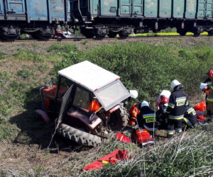 Żona prezydenta Dudy z łopatą. Tak z mężem sadziła las zniszczony przez nawałnicę