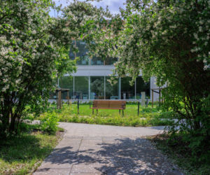 Centrum Aktywności Międzypokoleniowej na Ochocie