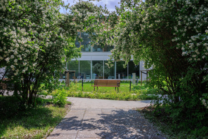 Centrum Aktywności Międzypokoleniowej na Ochocie