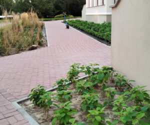 Park kieszonkowy, Siedlce, sala Podlasie