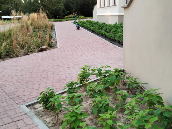 Park kieszonkowy, Siedlce, sala Podlasie