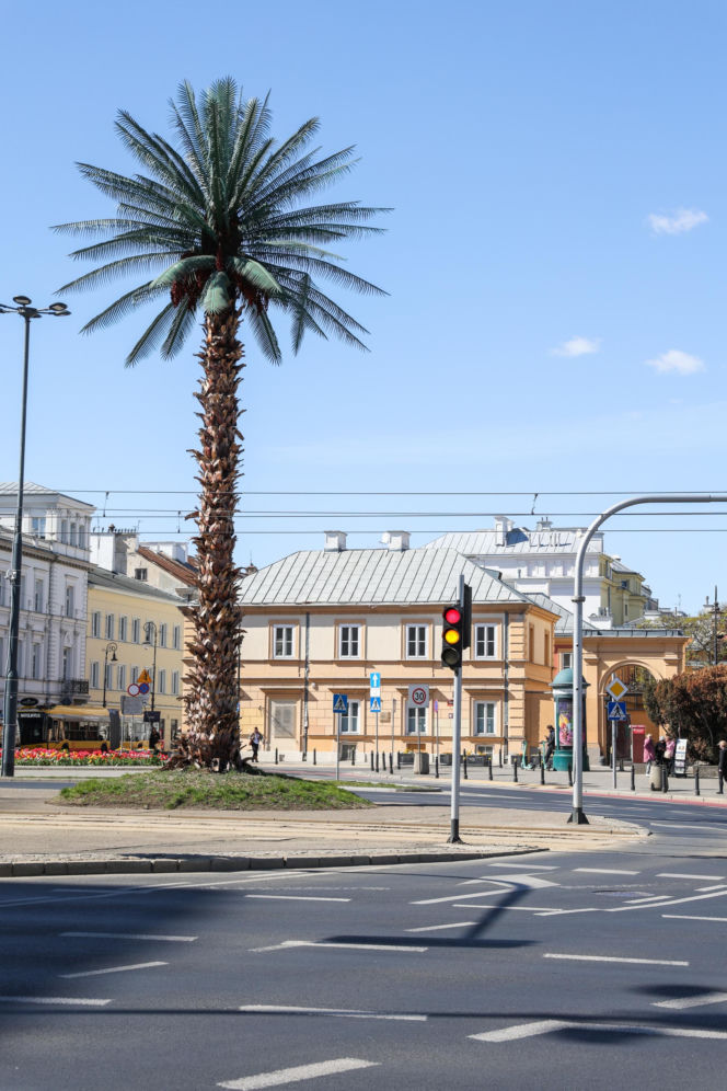 Kamienica al. 3 Maja róg Nowy Świat 5